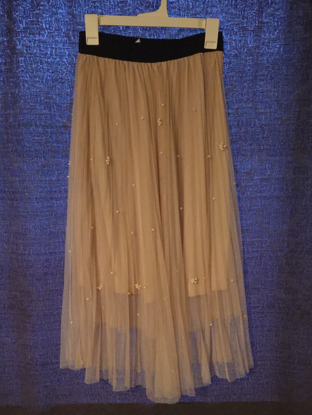 Beaded Tulle Midi Skirt in Beige with Black Waistband